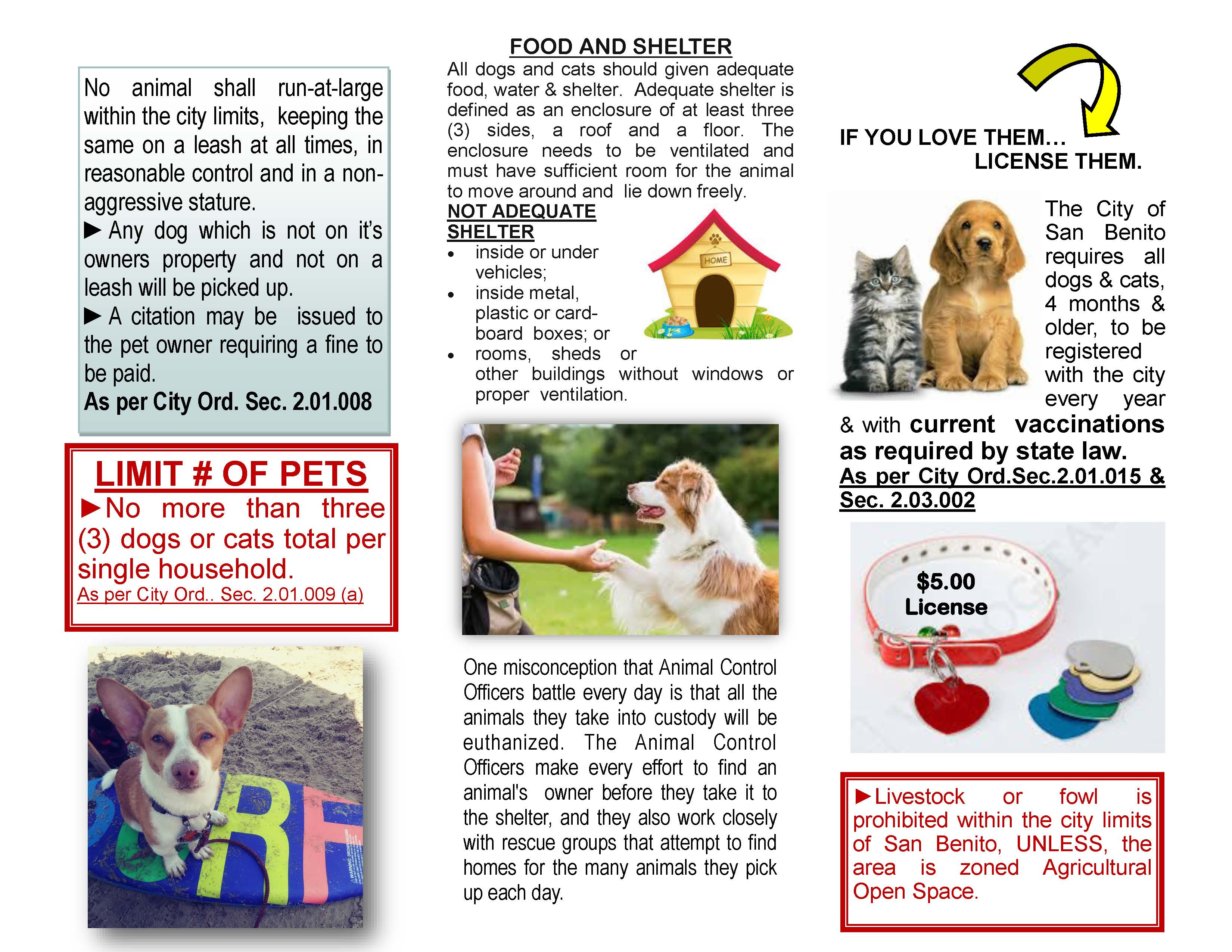 Animal Control_Page_2