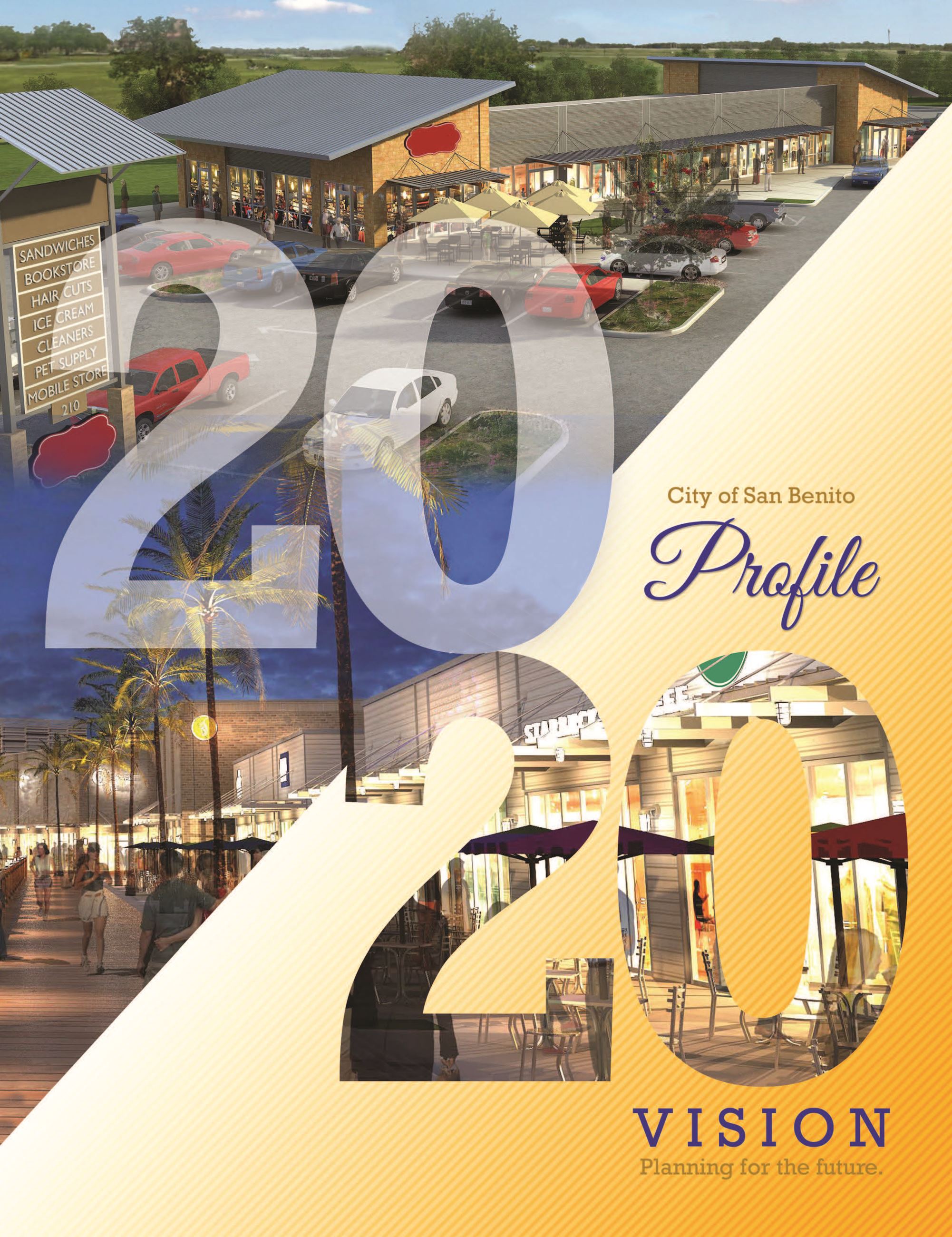 San Benito City Profile 2020_Page_01