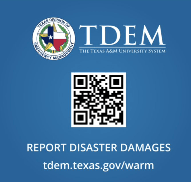 TDEM logo