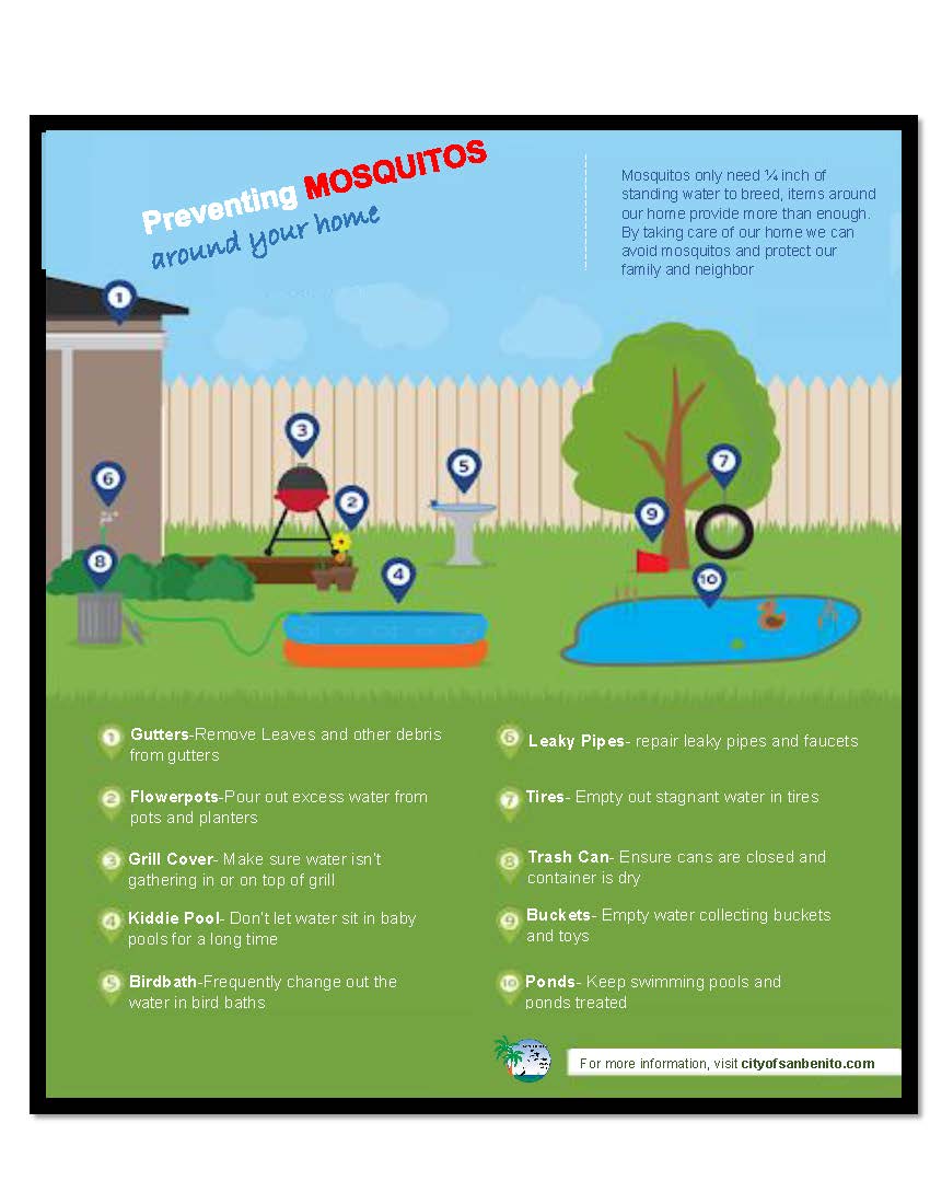 Mosquito Prevention English